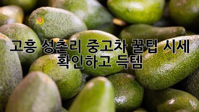 고흥 성촌리 중고차 꿀팁🍯 시세 확인하고 득템!